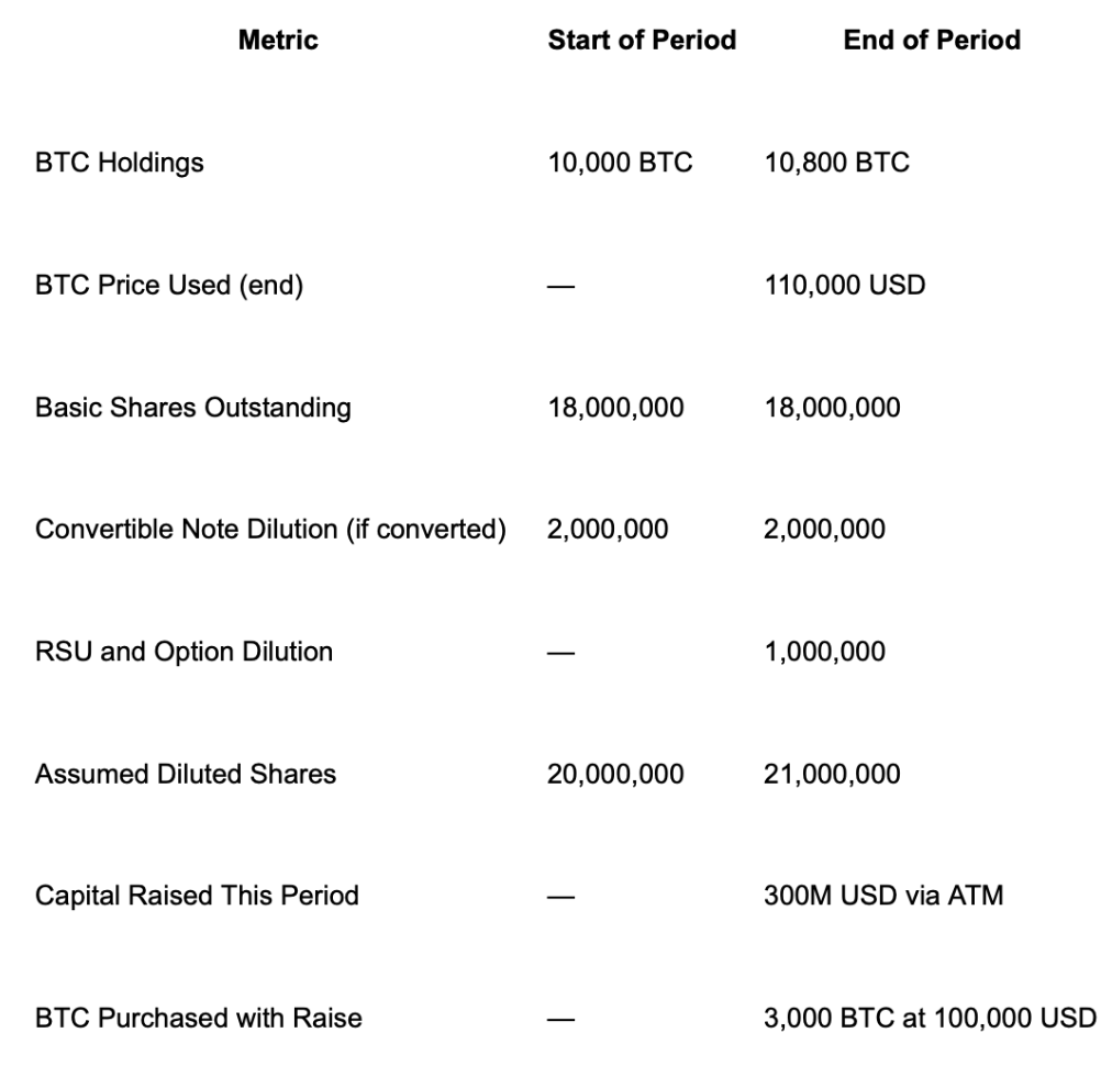 Metrics to Understand Bitcoin Treasury Companies